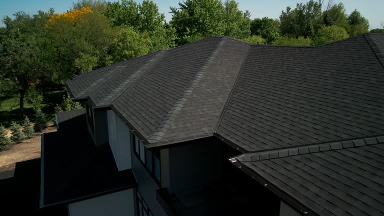 Best Roof Leak Repair  in Delta, CO