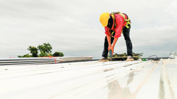 Best Roof Coating and Sealing  in Delta, CO